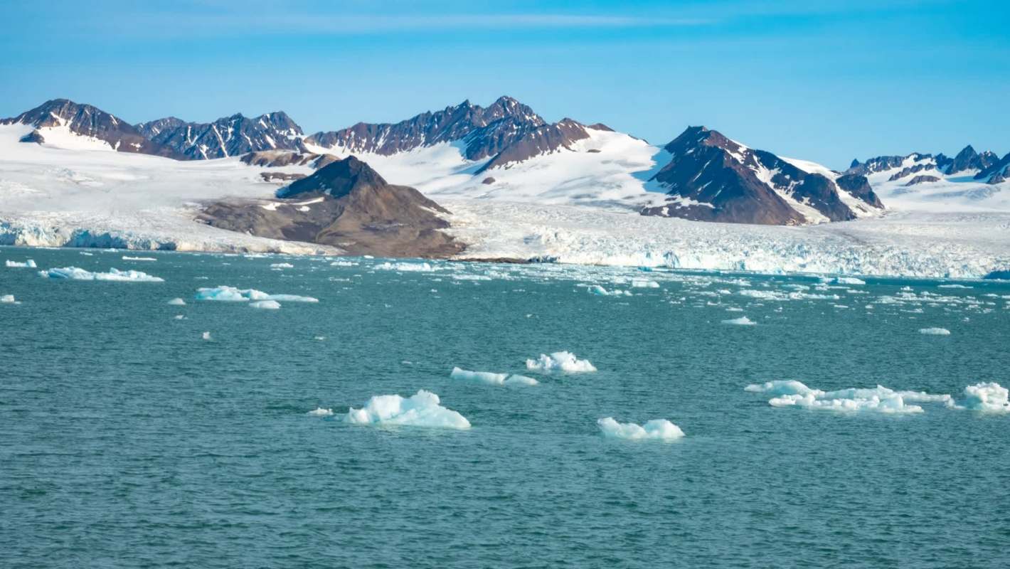 A serene view of icy waters with scattered icebergs and snow-capped mountains in the background.