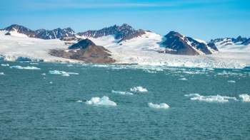 A serene view of icy waters with scattered icebergs and snow-capped mountains in the background.