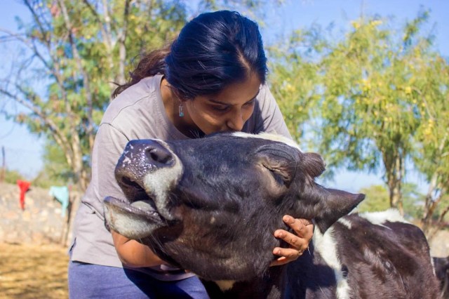 A woman lovingly kisses a black and white cow in a sunny outdoor setting.