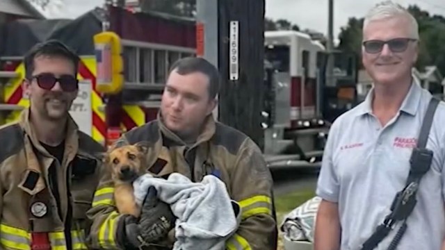 Three firefighters pose together, one holding a rescued dog wrapped in a towel, with emergency vehicles in the background.