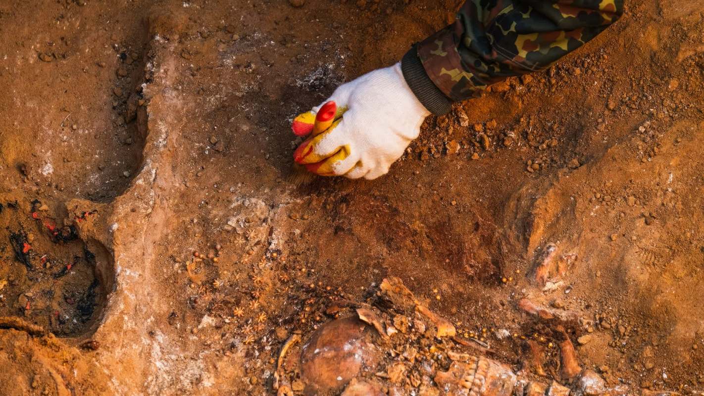A gloved hand using a brush to excavate something.