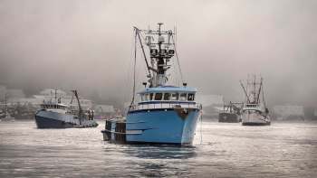 Three fishing boats navigate through a foggy harbor with buildings visible in the background.
