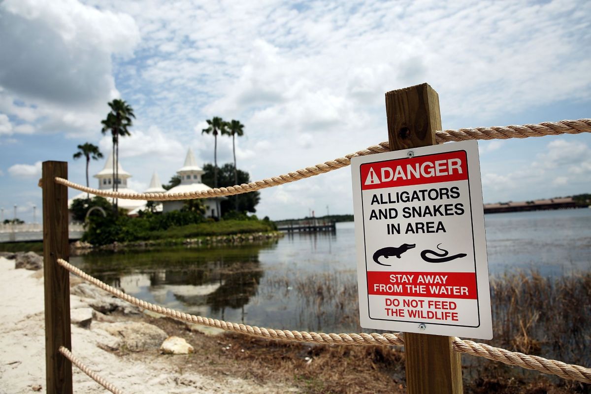 A sign at a Disney hotel warning about alligators and snakes in the area.