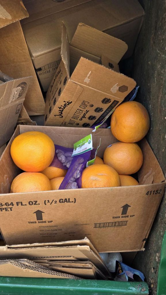 Oranges that Amazon Now threw out in a dumpster.