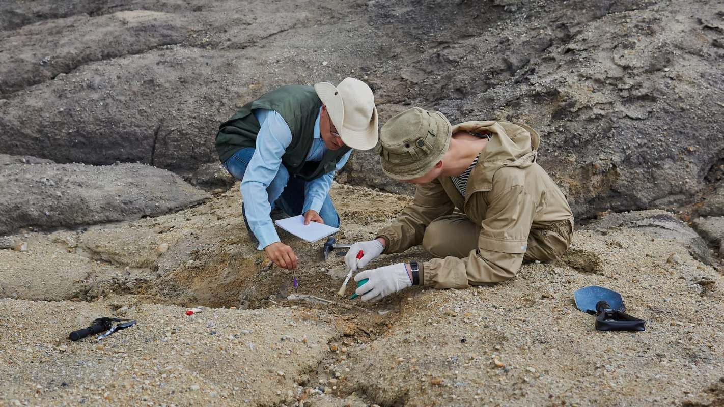 Two researchers excavate a sandy area, examining fossils and documenting their findings.