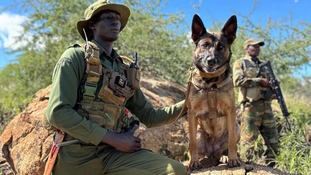A soldier sits next to a German Shepherd on a rock, with another armed soldier in the background under a blue sky.