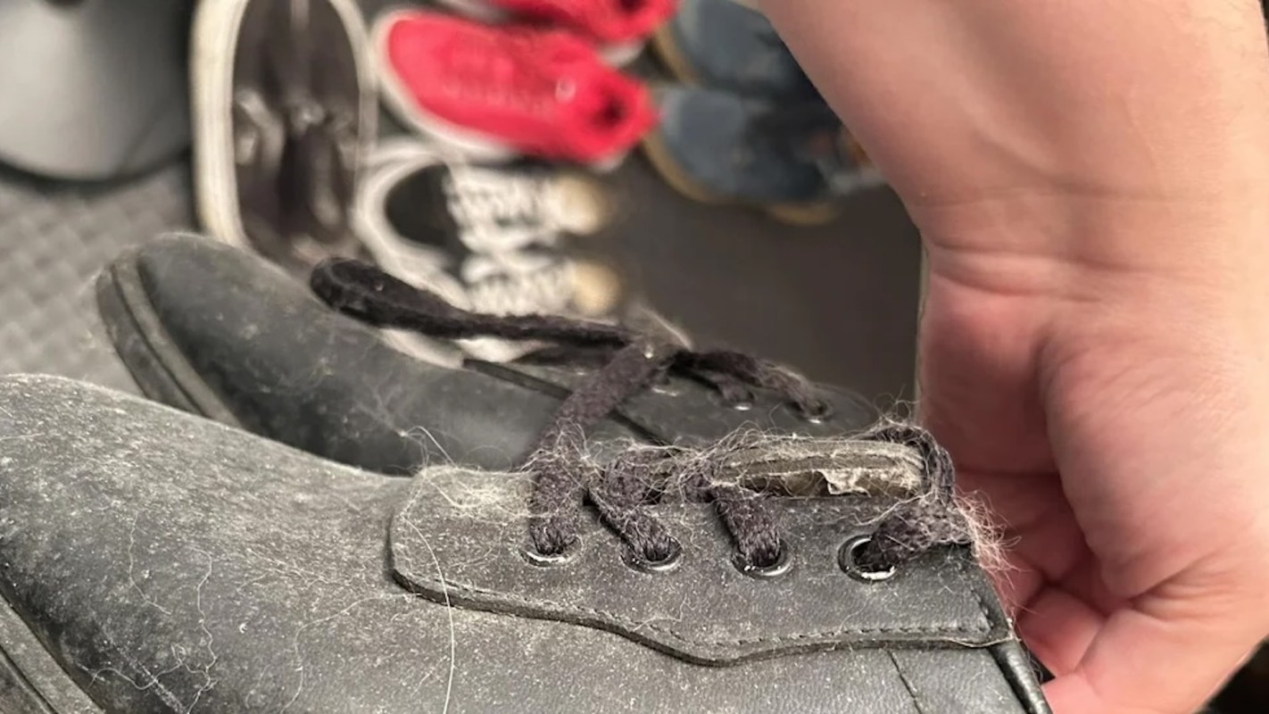 A close-up of a dusty black shoe with visible fur fibers and a hand holding the shoe.