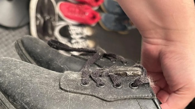 A close-up of a dusty black shoe with visible fur fibers and a hand holding the shoe.