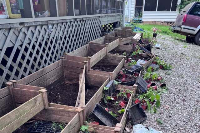 A row of wooden garden beds broken with scattered pots and soil, positioned next to a gravel path and a trailer.