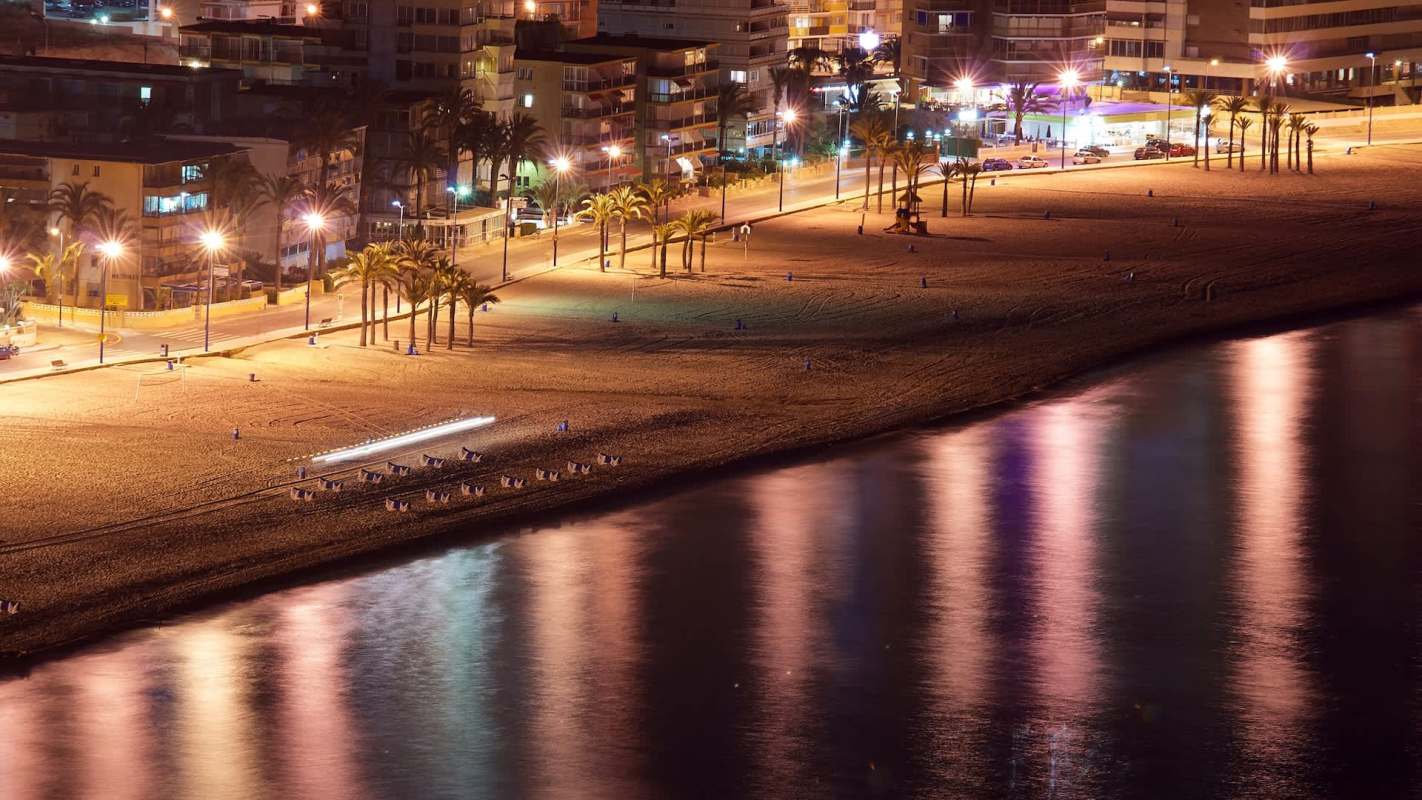 A nighttime beach scene with palm trees, city lights, and reflections on the water.