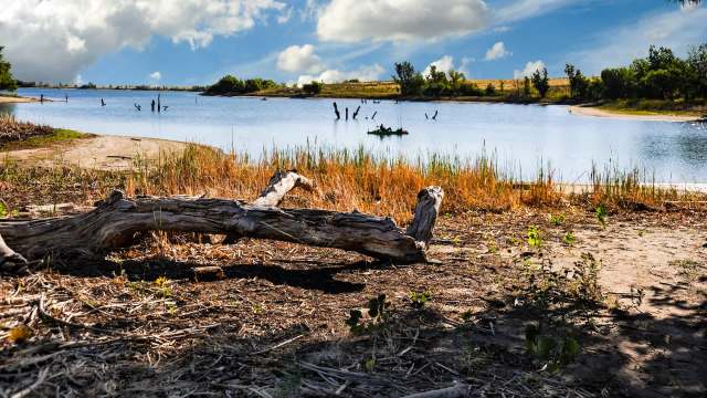 A large branch on the ground in front of a lake.