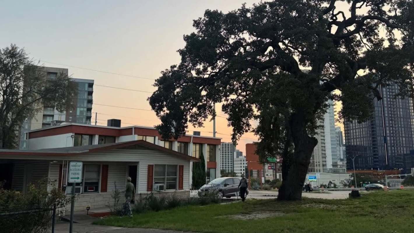 A large oak tree stands beside a building with modern architecture and two people walking in the foreground at sunset.