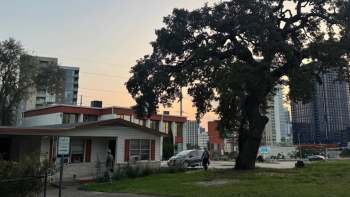 A large oak tree stands beside a building with modern architecture and two people walking in the foreground at sunset.