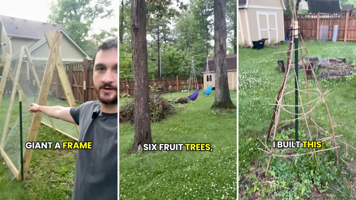 A man points at a large wooden frame in a backyard with swings and fruit trees in the background.