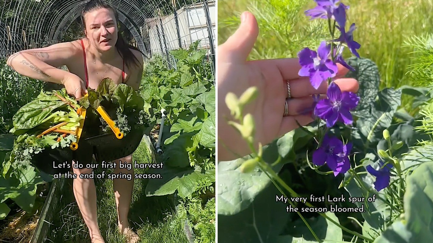 A gardener holds a basket of freshly harvested greens while showcasing blooming purple flowers in a sunny garden.