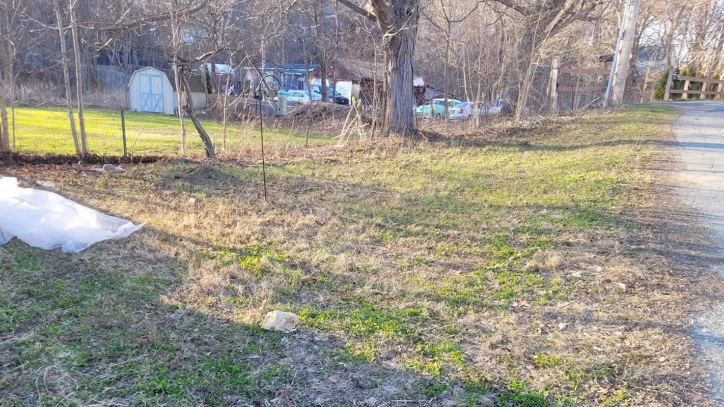 A grassy area beside a gravel road, with a shed and trees in the background, showing signs of early spring.
