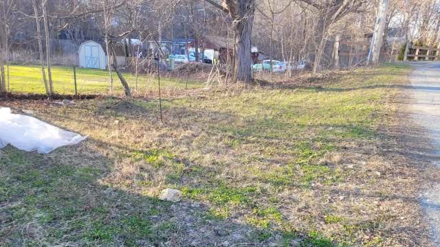 A grassy area beside a gravel road, with a shed and trees in the background, showing signs of early spring.