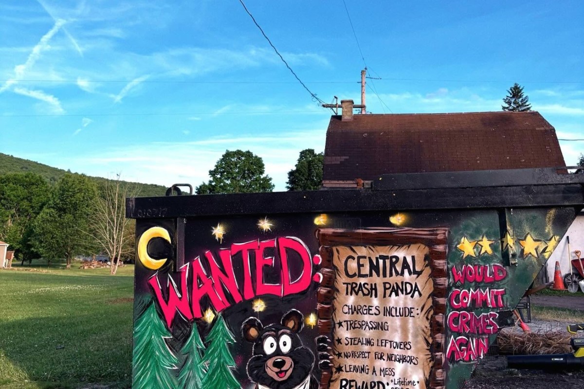 A colorful mural on a dumpster humorously depicts a "wanted" poster for a bear with various charges listed.