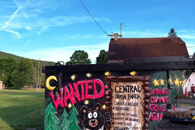 A colorful mural on a dumpster humorously depicts a "wanted" poster for a bear with various charges listed.