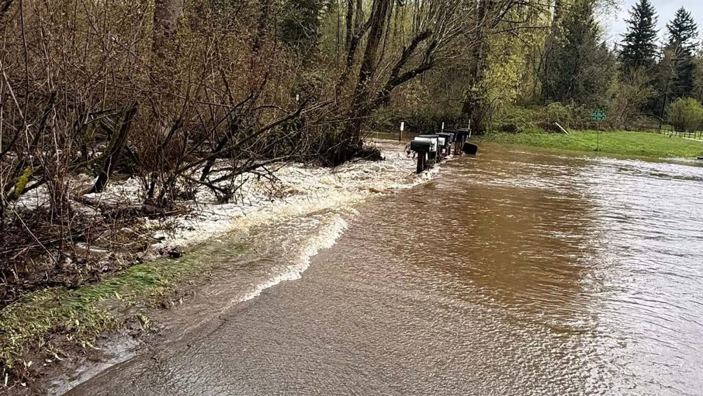 A flooded road with mailboxes partially submerged and surrounded by brown water and bare trees.
