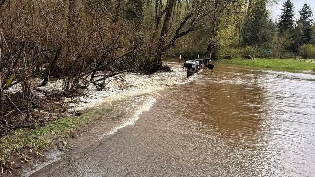 A flooded road with mailboxes partially submerged and surrounded by brown water and bare trees.