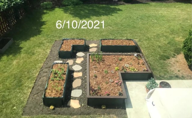 Aerial view of garden beds with plants and mulch.