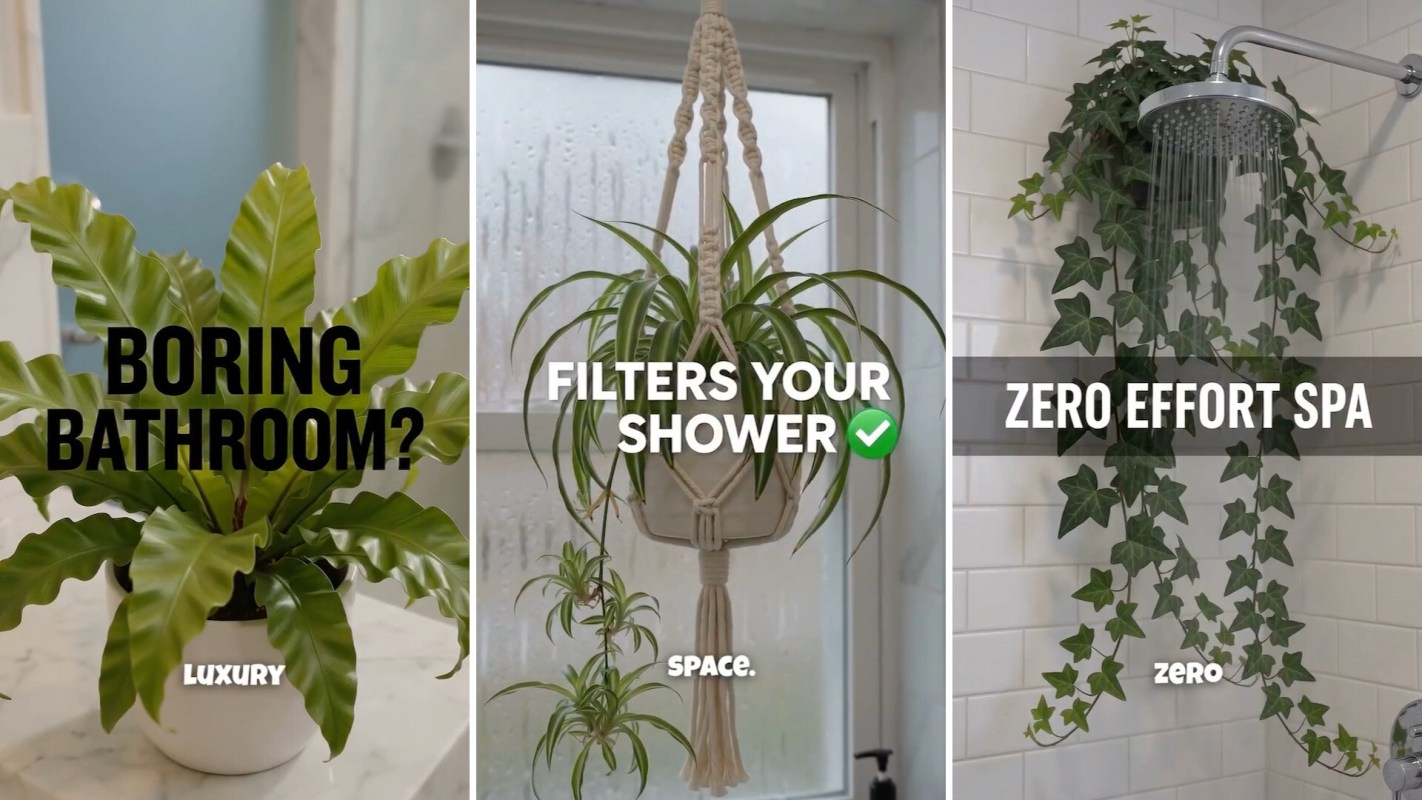 Three bathroom scenes showcasing plants: a potted fern, a macramé hanging plant, and ivy by a showerhead, promoting decor ideas.