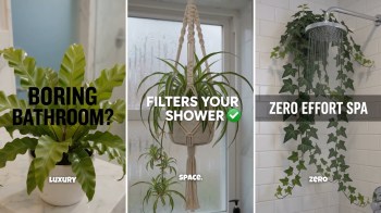 Three bathroom scenes showcasing plants: a potted fern, a macramé hanging plant, and ivy by a showerhead, promoting decor ideas.