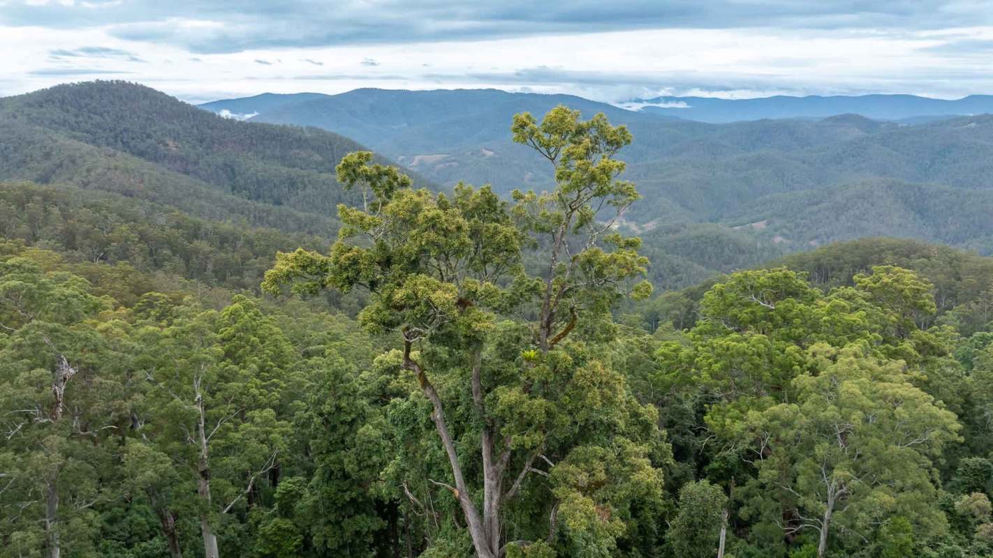 A panoramic view of lush green hills and valleys under a cloudy sky.