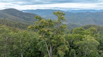 A panoramic view of lush green hills and valleys under a cloudy sky.