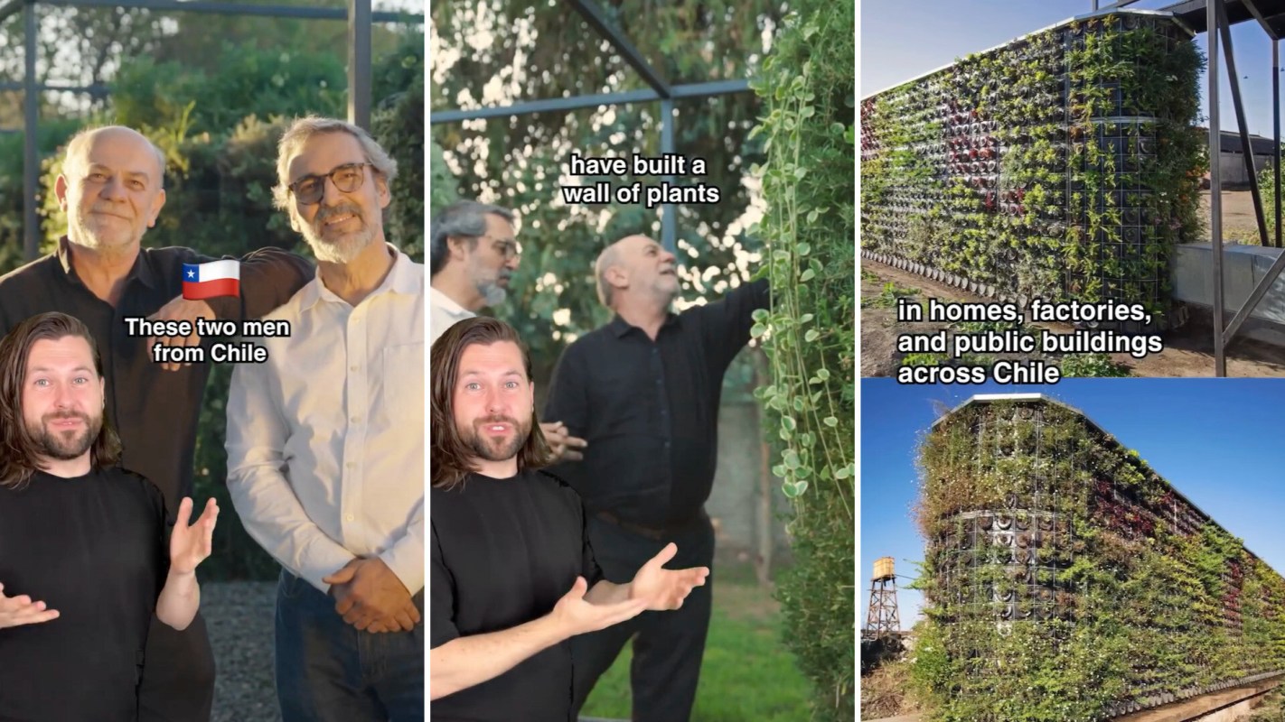 Three panels featuring two men from Chile discussing a plant wall and showcasing vertical gardens in various locations.