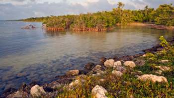 A serene coastal scene featuring clear water, mangroves, and rocky shorelines under a cloudy sky.