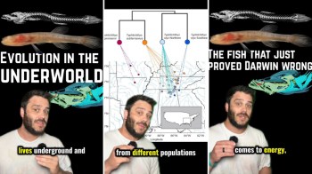 A presenter discusses underground fish evolution, featuring diagrams and illustrations on evolutionary relationships.