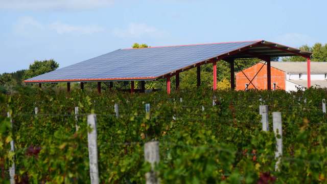 A solar panel roof stands over a vineyard, surrounded by lush green grapevines under a clear blue sky.