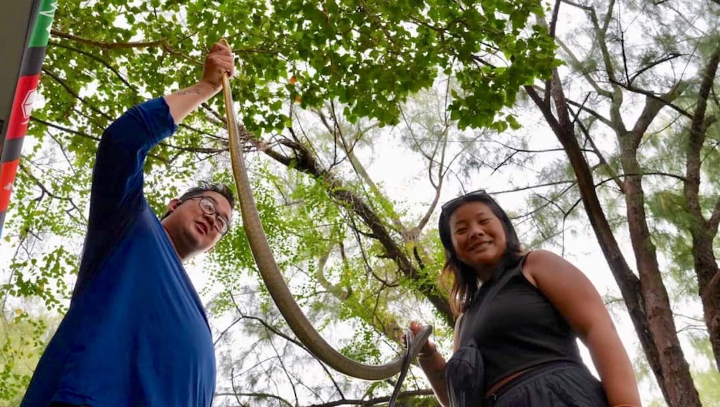 Two people display a long snake under a canopy of green leaves.
