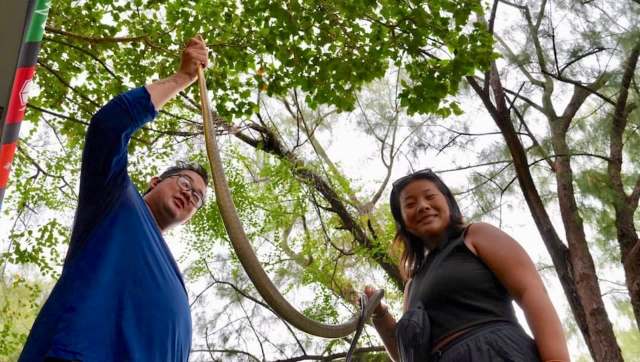 Two people display a long snake under a canopy of green leaves.