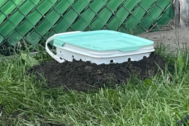 A plastic bucket with a lid partially buried in soil.
