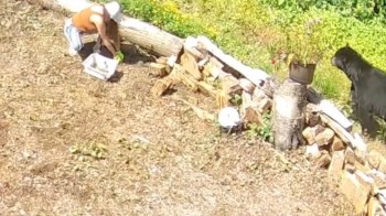 A person gathers items in a sunny garden while a bear wanders nearby.