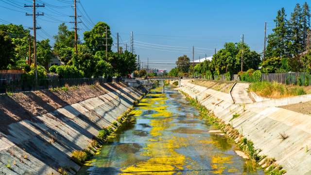 A narrow concrete channel with reflective water covered in green algae and surrounded by trees and utility poles.