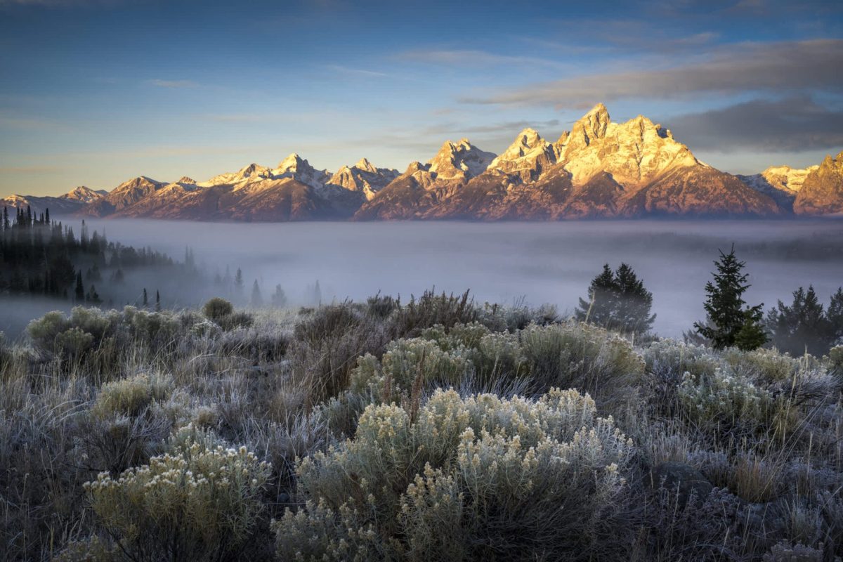 A panoramic view of snow-capped mountains rising above a foggy valley at dawn.