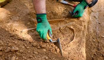 A person wearing green gloves uses a trowel to excavate soil and uncover an artifact.