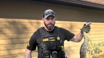 A police officer in tactical gear holds a large snake in front of a light-colored wooden building.
