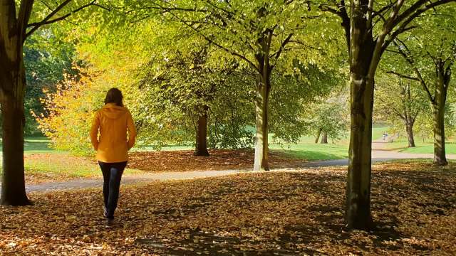 A person in a yellow jacket walks along a leaf-covered path in a sunny park surrounded by autumn colors.