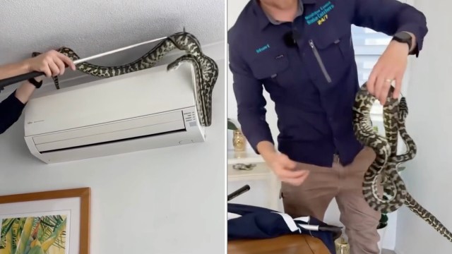 A person using a pole to remove a large snake from above a wall-mounted air conditioner.