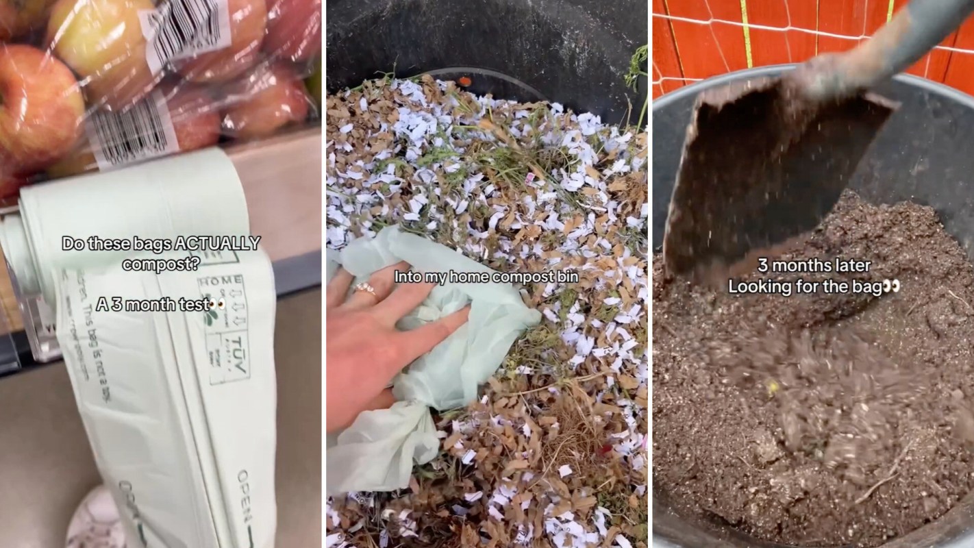 Three images showing the process of testing compostable bags over three months, from placement to decomposition results.