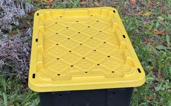 A yellow plastic lid rests on a black container, surrounded by grass and dried foliage.