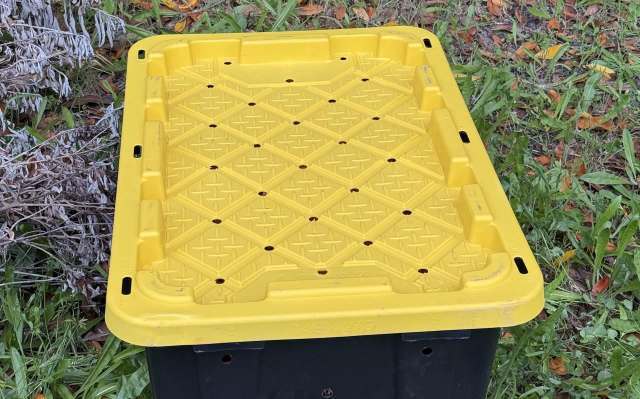 A yellow plastic lid rests on a black container, surrounded by grass and dried foliage.