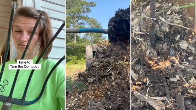 A person holds a pitchfork with a serious expression, ready to turn a compost pile outdoors.