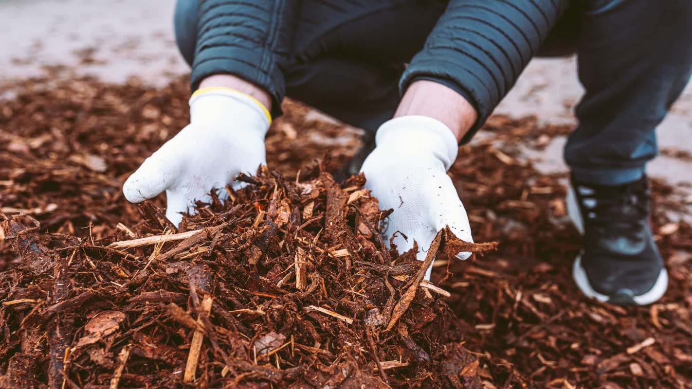 A person in gloves is scooping up dark, rich mulch from a pile on the ground.