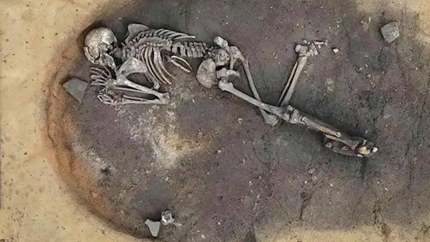 A human skeleton at an archaeological excavation site.